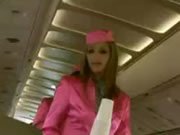 Airplane Sexy Stewardess